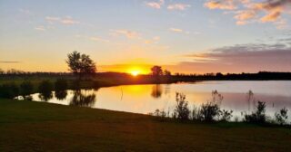 Always catching these beautiful sunrises! 🌅 
✨T.G.I.F✨
#farmlife #the5oaksfarm #holisticfarming #farmtotable #happyfriday