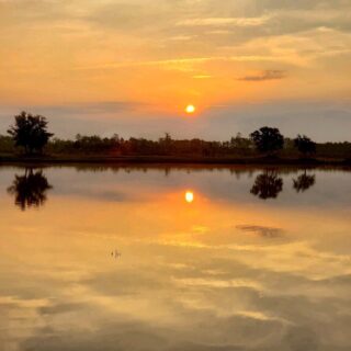 ✨Rise and shine from Five Oaks Farm!
Isn’t she lovely??
Get up and get moving. Make it a great day. We have lots to be thankful for! ☀️
#fiveoaksfarm #thankful #farmlife #farmtotable #isntshelovely #thegoldenisles