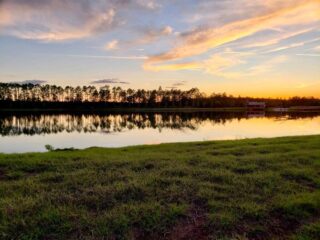 ✨What a View✨
The close of another beautiful day here at Five Oaks Farm. The sky is the limit folks. Do what you love and love doing it! Thankful for another day in paradise. 🌟
#godisgood #bethankful #whataview #the5oaksfarm #farmtotable #farmfresh #holisticgrowing #thatsawrap