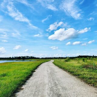 ✨That’s all she wrote!✨
Another beautiful and blessed day here at Five Oaks Farm. Wishing you all a great weekend! 
#the5oaksfarm #homestead #holisticgrowing #farmtotable #whataday #knowyourfarmer #knowtheland