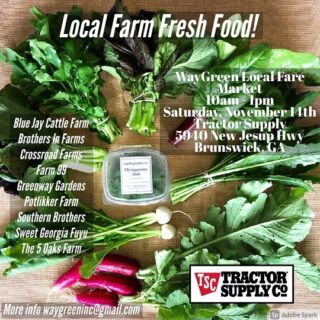 ✨Next Market✨
Come see us this Saturday at Tractor Supply in Brunswick 10am-1pm! We are excited to be apart of this @wayxgreen event. Thank you @greenwaygardens.llc for inviting us! Hope to see you everyone there. Don’t miss out on some yummy, fresh, and locally grown produce!🥬🥕🌶
#locallygrown #the5oaksfarm #wayxgreenmarket #freshproduce #shoplocal #supportlocal #teamwork