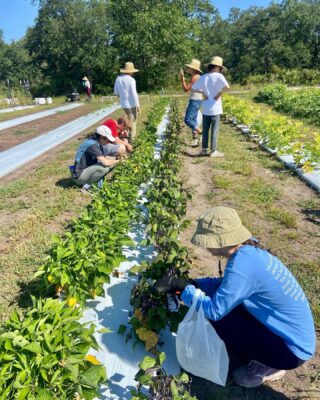 We had the best day with @bridgemission yesterday! So much learning, so much fun, and so many happy faces! 🌾👩‍🌾🧑‍🌾