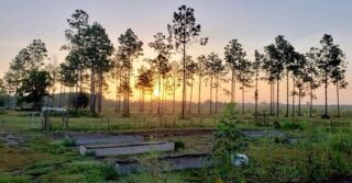 ✨Early morning photo shoot✨
@jheathsmith got some great pics this morning. All is well, it’s a beautiful day- nothing to complain about here!☀️🌶🥬
#the5oaksfarm #whatabeauty #goodmorning #riseandshine #farmtotable #holisticgrowing #farmlifebestlife