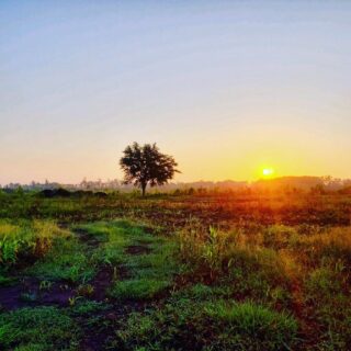 ✨Good morning✨
Rise and shine at Five Oaks Farm! Wishing everyone a happy hump day.
#humpday #wednesday #the5oaksfarm #thatsunrisethough #getafterittoday #farmtotable #holisticgrowing #feedingthegoldenisles